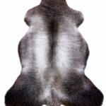 Skóry owcze naturalnie kolorowe