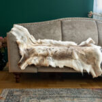 reindeer hide
