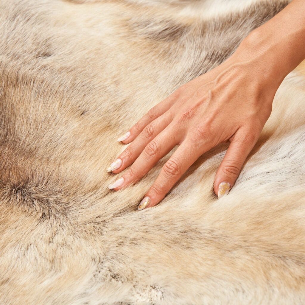 reindeer hide